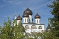 Top of cathedral in Dmitrov town, Russia