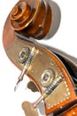 Top of a cello, a stringed instrument Royalty Free Stock Photo