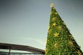 Top of the Christmas tree with a filtered sky in the background