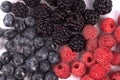 Close-up photo of wet set of blackberries, blueberries and raspberries laying on white background Royalty Free Stock Photo