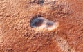 Top close up view of surface on the beach. Details of colorful soil