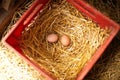 Top closeup of farm fresh chicken eggs in a red basket on hay Royalty Free Stock Photo