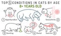 Top 5 conditions in cats by age. Common diseases in adult animals. Royalty Free Stock Photo