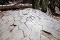 Colunmar Basalt at Devil`s Postpile National Monument