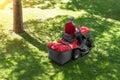 Top down above view of professional lawn mower worker cutting fresh green grass with landcaping tractor equipment Royalty Free Stock Photo