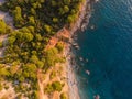 Top-down aerial of dense coastal forest meeting turquoise shoreline Royalty Free Stock Photo