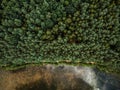 ..Top down aerial drone view over forest and lake