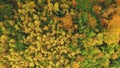 Top down aerial sun mountain forest. Nobody nature landscape at autumn sunny day. Green, yellow tree Royalty Free Stock Photo