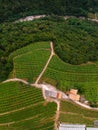 Top down aerial view of the alpine vineyards on a summer day. flat rows of fields, farms, small village of Faver, famous for wine Royalty Free Stock Photo