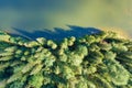 Top down aerial view of big lake with clear blue water between high mountain hills covered with dense evergreen forest Royalty Free Stock Photo