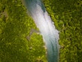 Top down aerial view of a channel running through a huge mangrove forest