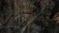 Top down aerial view of foot path in nature park in Marzahn Hellersdorf east Berlin Germany