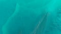 Top down aerial view over natural texture - abstract industrial lake water patterns. Turquoise waternature poluttion