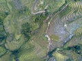 Top down aerial view of Ruteng Rice Terrace Royalty Free Stock Photo