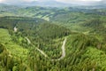 Top down aerial view of winding forest road in green mountain spruce woods Royalty Free Stock Photo