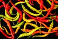 Top down, close up view of many fresh, organic cayenne chili peppers in different colors on a black background Royalty Free Stock Photo