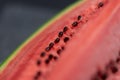 A top down closeup portrait of the black seeds sitting in the pink red pulp of a cut slice of green watermelon. The piece of fruit