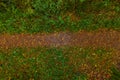 Top-down closeup wide angle view on wet autumn forest pathway with yellow leaves