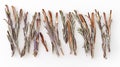 Top-down composition of dried lavender stems on a white background, showing delicate textures Royalty Free Stock Photo