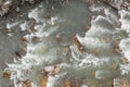 Top-down drone view of rapids of mountain river with wet boulders and pebble shore. Beautiful and powerful azure river stream with