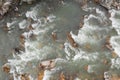 Top-down drone view of rapids of mountain river with wet boulders and pebble shore. Beautiful and powerful azure river stream with