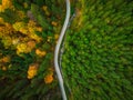 Top down drone view on winding road trough autumn forest