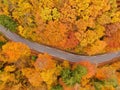 TOP DOWN: Empty scenic route lead through a deciduous forest changing colors. Royalty Free Stock Photo