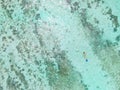 TOP DOWN: Female snorkeler dives around turquoise ocean and explores coral reef Royalty Free Stock Photo