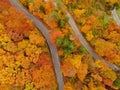 TOP DOWN: Flying above a empty scenic switchback forest road on sunny fall day. Royalty Free Stock Photo