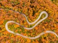 TOP DOWN: Flying above a hairpin turn of a scenic forest road on sunny fall day. Royalty Free Stock Photo