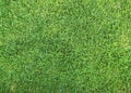 Top-down of grass garden, Ideal concept used for making green flooring, lawn for a training footba Royalty Free Stock Photo