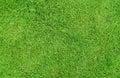 Top-down of grass garden Ideal concept used for making green flooring, lawn for training football pitch, Grass Golf Courses green Royalty Free Stock Photo