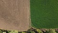 Separation and contrast between a harvested field and a plowed field in rural agricultural farmland,