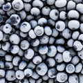 Top down macro view of frozen blueberries thawing out.