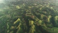 Top down mountain burnt peak grass aerial view: tropic jungle Quitinday hills of Mayon, Philippines Royalty Free Stock Photo