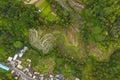 Top down overhead aerial view of farm paddy rice plantations near small rural village in Bali, Indonesia Lush green