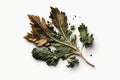 A top down picture of dried parsley on a white background