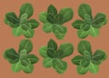 Top down plan view of some green baby lettuce against a brown backdrop