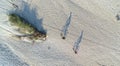 TOP DOWN: Two unrecognizable tourists riding mountain bikes along rocky terrain. Royalty Free Stock Photo