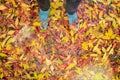 a top down view from above on the blue sneakers in the fallen autumn red and yellow leaves Royalty Free Stock Photo