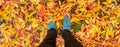 a top down view from above on the blue sneakers in the fallen autumn red and yellow leaves Royalty Free Stock Photo