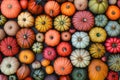 A top-down view of a background filled with multicolored pumpkins, creating a vibrant pattern Royalty Free Stock Photo