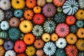 A top-down view of a background filled with multicolored pumpkins, creating a vibrant pattern Royalty Free Stock Photo