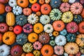 A top-down view of a background filled with multicolored pumpkins, creating a vibrant pattern Royalty Free Stock Photo