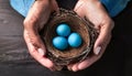 A top-down view capturing hands gently cradling a bird\'s nest, which holds several delicate blue eggs Royalty Free Stock Photo