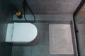 Top down view on a closed toilet with bathmat and shower cubicle