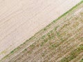 Top down view. Crop agricultural fields Royalty Free Stock Photo