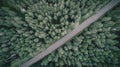 Top down view of the dirt road in dark forest at summer cloudy day Royalty Free Stock Photo