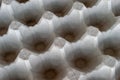 Top-Down View of an Empty Biodegradable Molded Pulp Fiber Egg Carton Tray Royalty Free Stock Photo