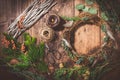 Top down view of florist\'s worktable. Making of festive wreath for autumn or Christmas